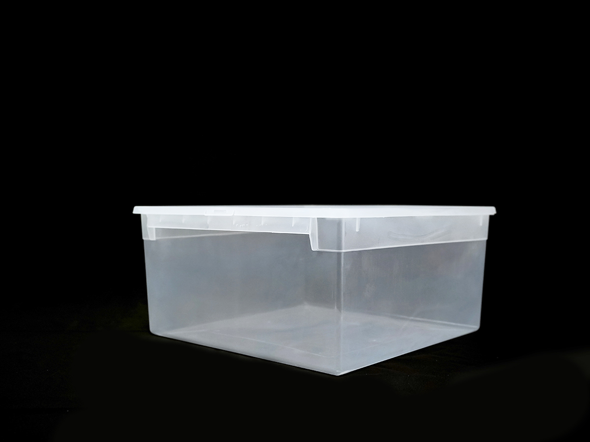 Прозрачный контейнер LightBox L, 23 л