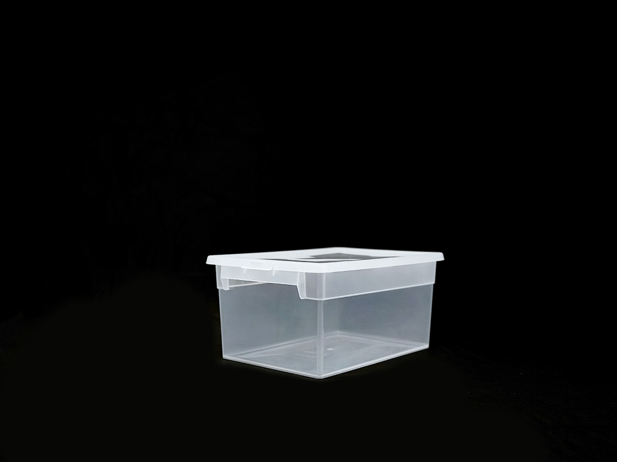 Прозрачный контейнер LightBox M/2, 6 л